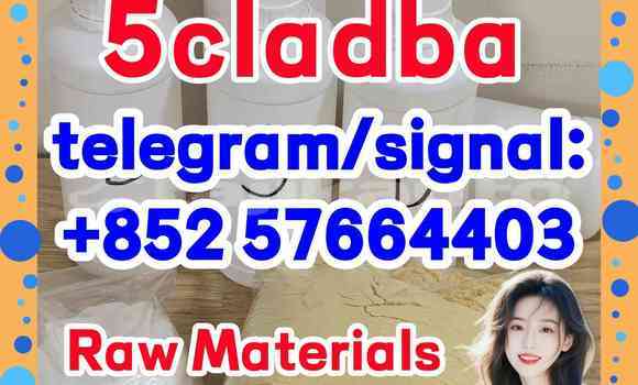 Medium with watermark 53
