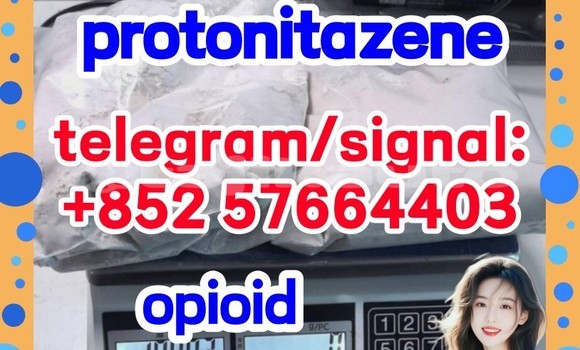 Buy 119276-01-6 Protonitazene in Chkalov in Sughd Buy 119276-01-6 Protonitazene in Chkalov in Sughd