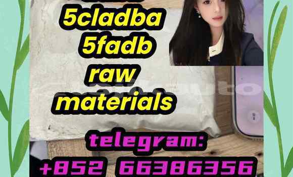 Medium with watermark 1
