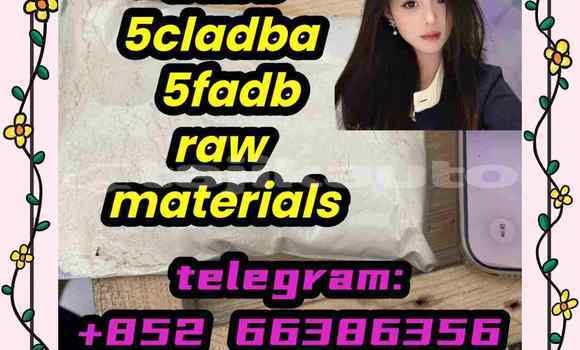 Medium with watermark 3