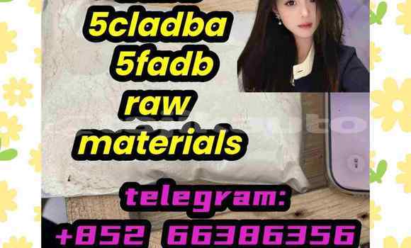 Medium with watermark 5