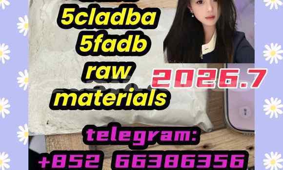 Medium with watermark 8