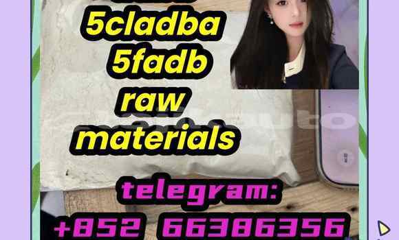 Medium with watermark 1