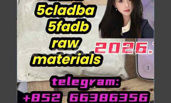Medium with watermark 6