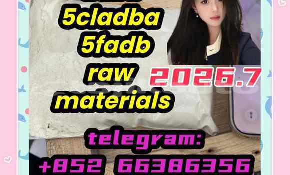 Medium with watermark 10
