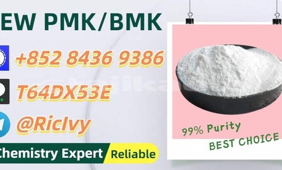 Buy Used Ecomotors Estrima Biro Brown Car in Nurak in Khatlon