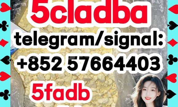 Medium with watermark 56