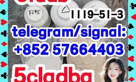 Medium with watermark 57