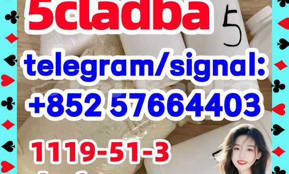 Medium with watermark 58
