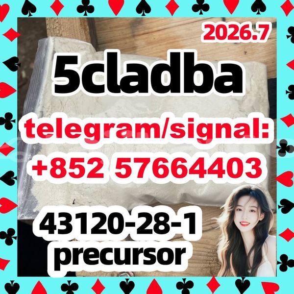 Big with watermark 59