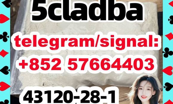 Medium with watermark 59