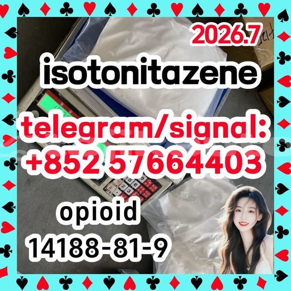 Big with watermark i1