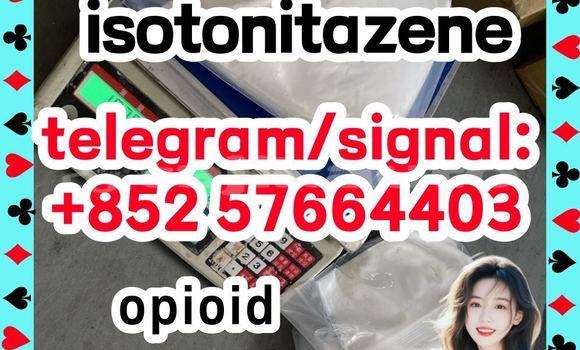 Medium with watermark i1