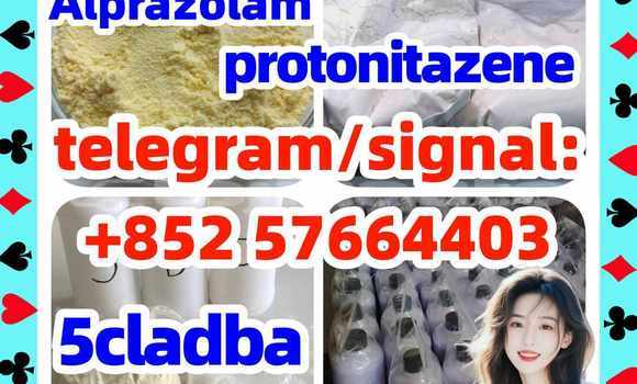Medium with watermark z1
