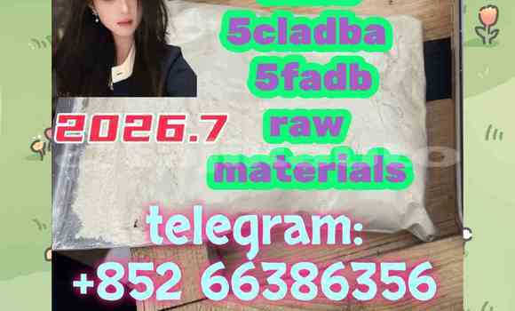 Medium with watermark 8