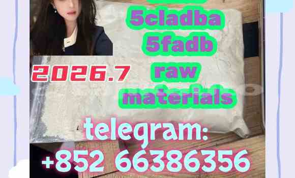 Medium with watermark 9