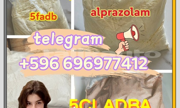 Medium with watermark 1.2