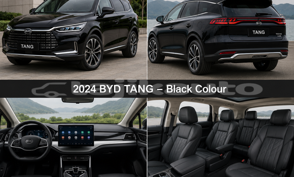Buy Used AC Aceca Black Car in Buston in Sughd