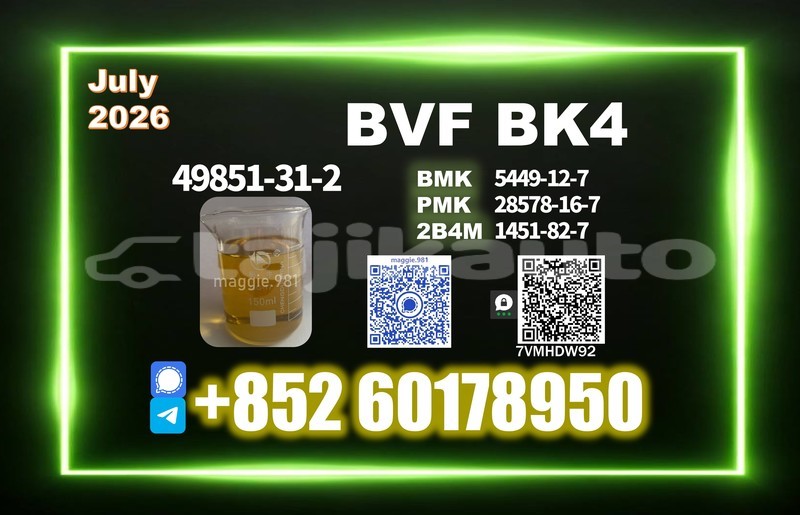 Big with watermark bvf cas 49851 31 2 quality control team