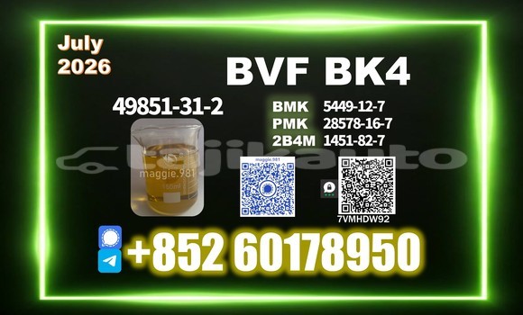 Medium with watermark bvf cas 49851 31 2 quality control team