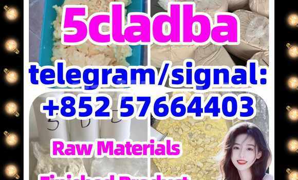 Medium with watermark 51
