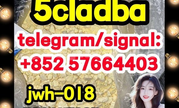 Medium with watermark 53