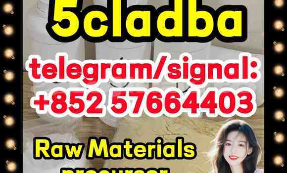 Medium with watermark 55