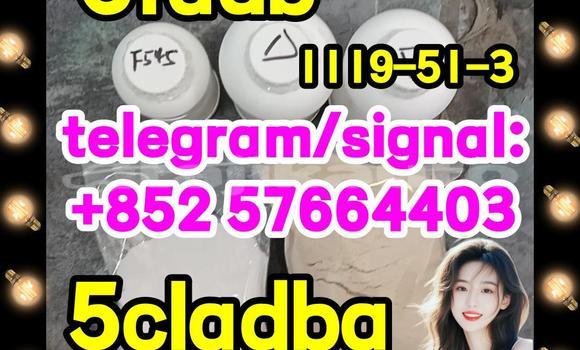 Medium with watermark 510