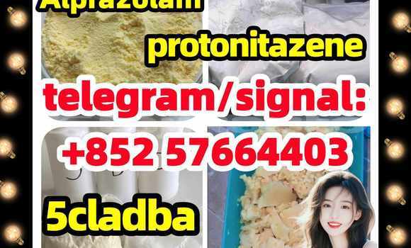 Medium with watermark z1