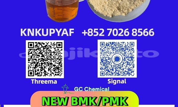 Buy Used CHTC PICK UP Black Car in Chorku in Sughd