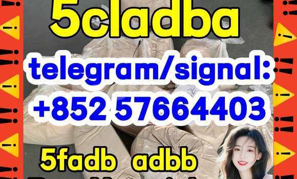 Medium with watermark 58