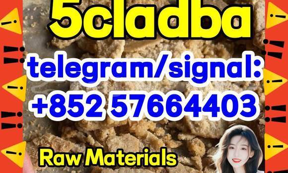 Medium with watermark 55