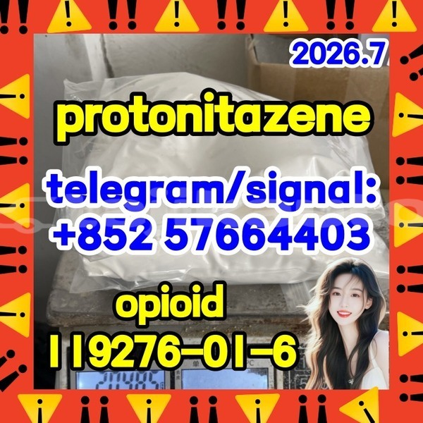 Big with watermark p2