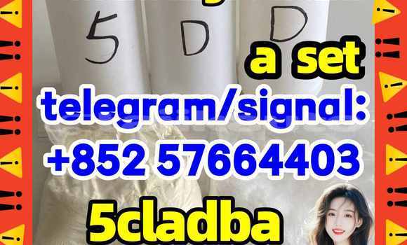 Medium with watermark 510