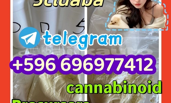 Medium with watermark 7.25