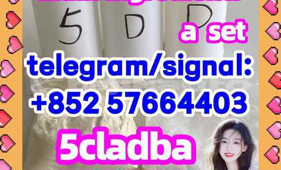 Medium with watermark 51