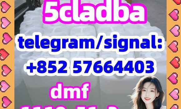 Medium with watermark 52