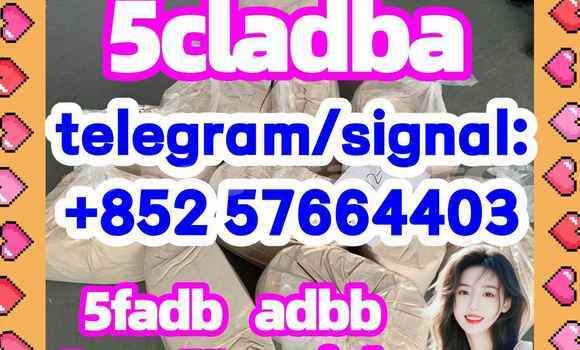 Medium with watermark 53