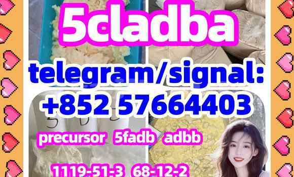 Medium with watermark 55