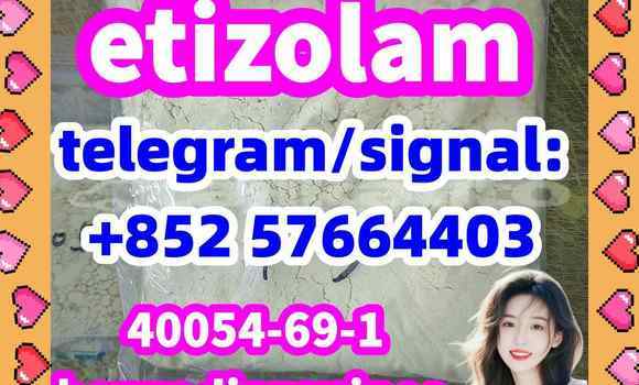 Medium with watermark e1