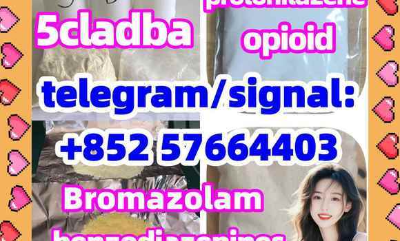 Medium with watermark z1