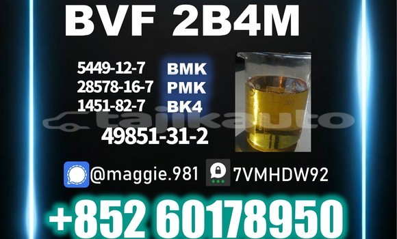Medium with watermark bvf cas 49851 31 2 stable quality