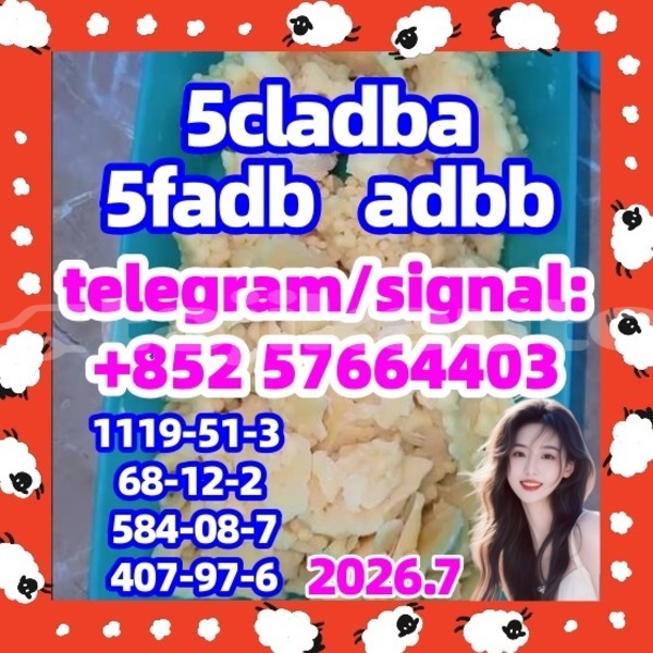 Big with watermark 56