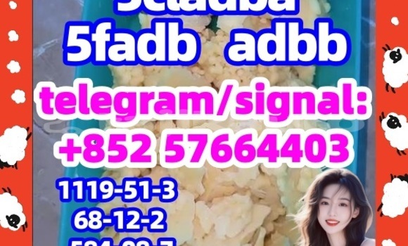 Medium with watermark 56