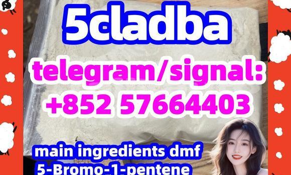 Medium with watermark 59