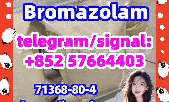 Medium with watermark b1
