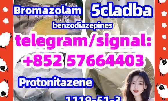 Medium with watermark z3