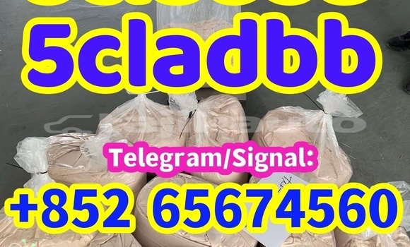 Buy CAS 1119-51-3 in Buston in Sughd Buy CAS 1119-51-3 in Buston in Sughd