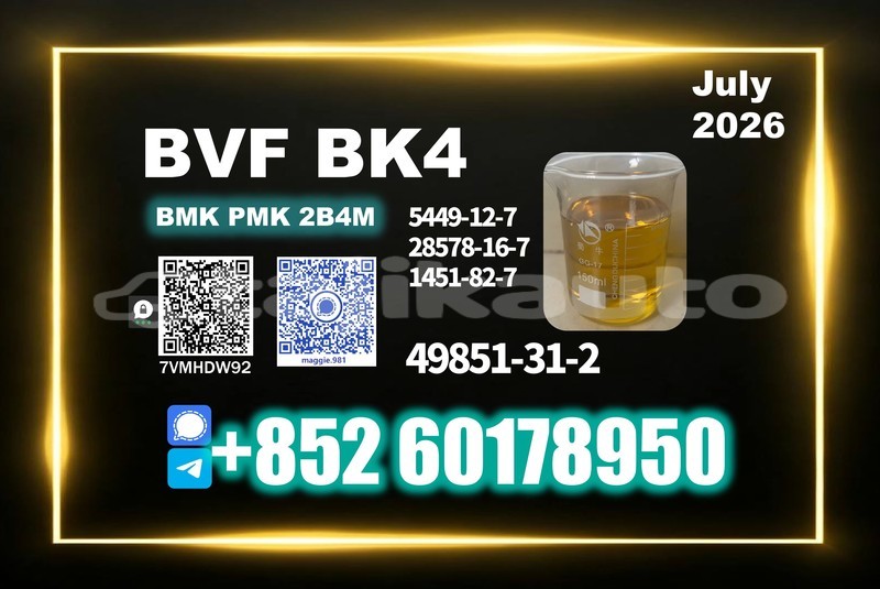 Big with watermark bvf cas 49851 31 2 premium service