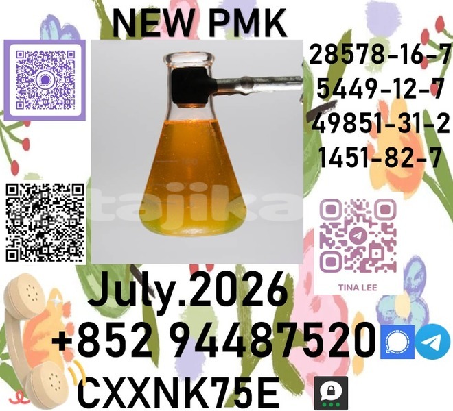 Big with watermark p24